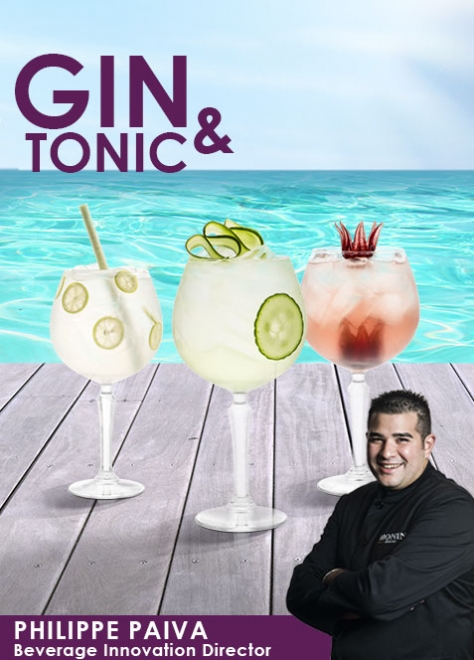 Gin tonic MONIN