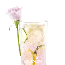 gin tonic rose monin
