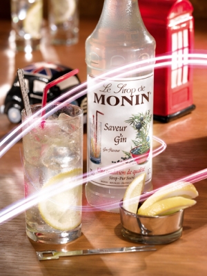 MONIN Gin Flavour syrup ambiant