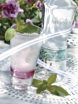 MONIN Frosted White liqueur ambiant