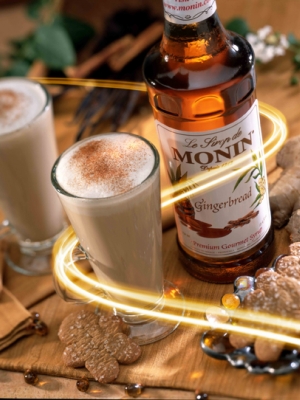 MONIN Gingerbread syrup ambiant