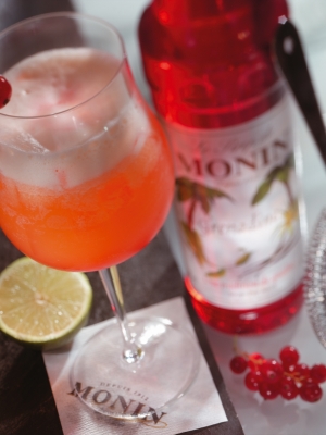 MONIN Grenadine syrup ambiant