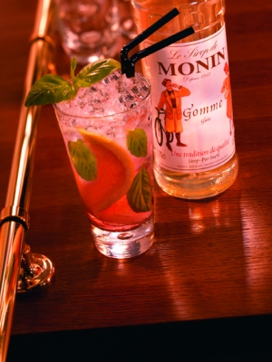 MONIN Gum syrup ambiant