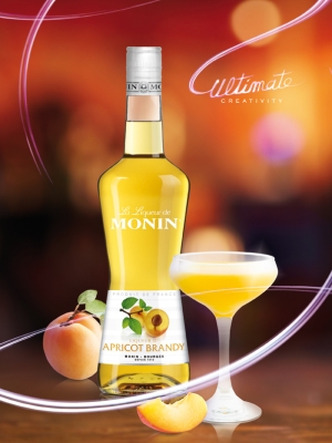 MONIN Apricot liqueur ambiant