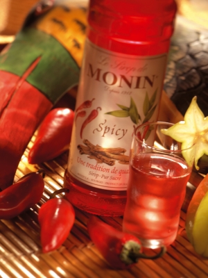 MONIN Spicy syrup