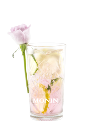 gin tonic rose MONIN