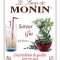 MONIN Gin Flavour syrup label