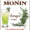 MONIN Tarragon syrup label