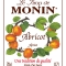 MONIN Apricot syrup label