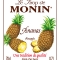 MONIN Pineapple syrup label