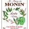 MONIN Green Mint syrup label