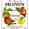 MONIN Apple syrup label