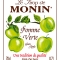 MONIN Green Apple syrup label
