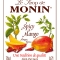 MONIN Spicy Mango syrup label