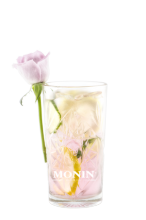 gin tonic rose MONIN