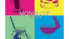 MONIN Cup final 2016